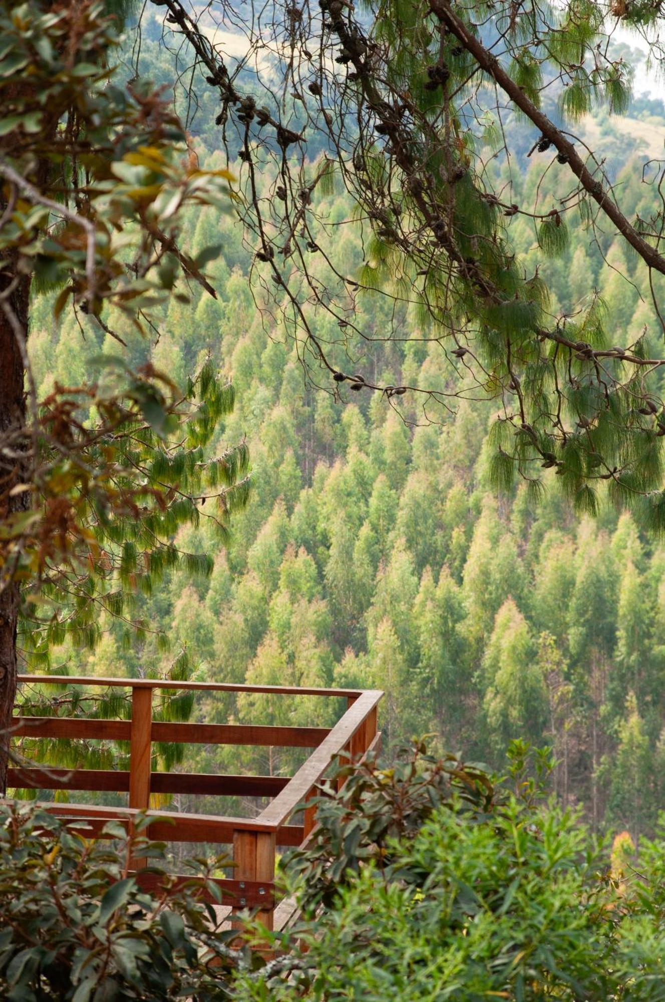 Hotel Pousada Recanto Do Saua - Monte Verde Monte Verde  Zewnętrze zdjęcie