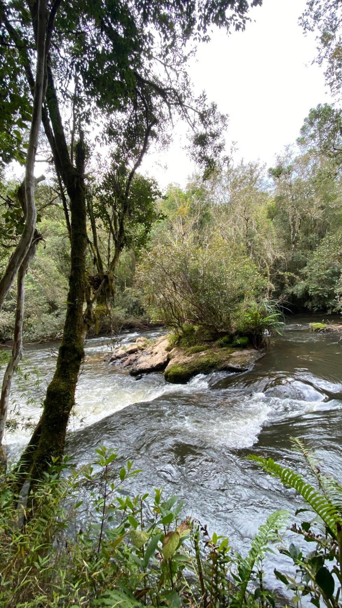 Hotel Pousada Recanto Do Saua - Monte Verde Monte Verde  Zewnętrze zdjęcie